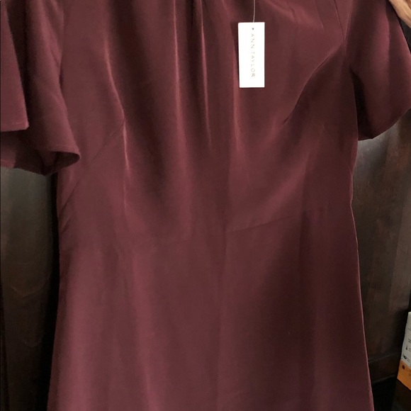 Ann Taylor Dress- new w tags - Picture 4 of 4